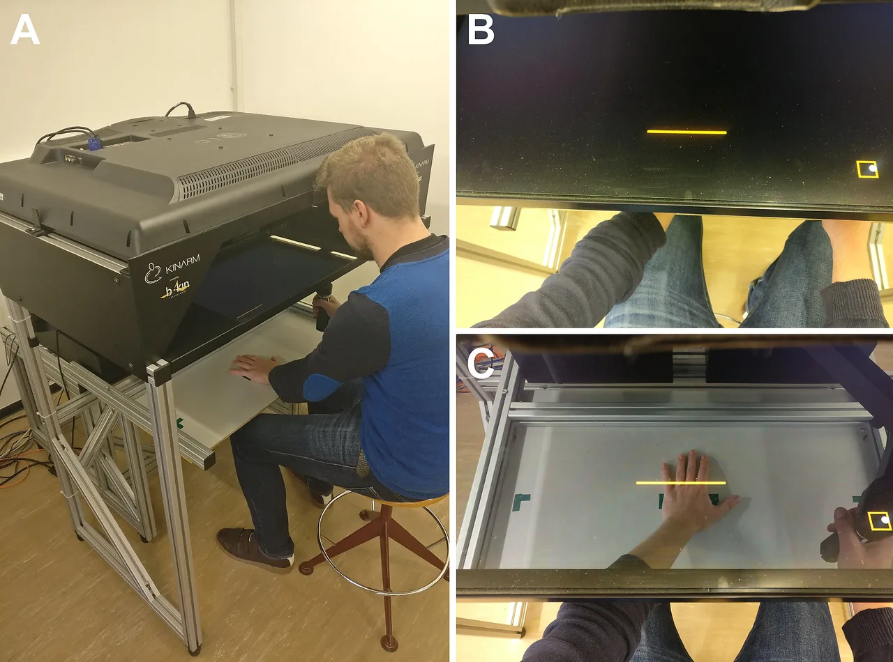 A volunteer at the robotic reaching apparatus, and their view of the display.