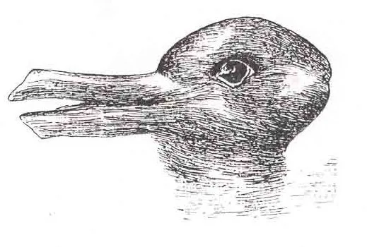 The rabbit–duck illusion.