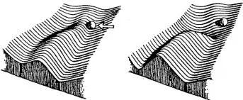 Two Waddington landscapes, before and after the alternative valley becomes the default path.