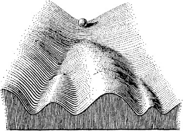 Waddington’s epigenetic landscape: a ball at the top of a surface of branching valleys.
